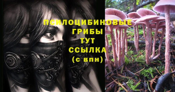 ГАЛЛЮЦИНОГЕННЫЕ ГРИБЫ Сатка