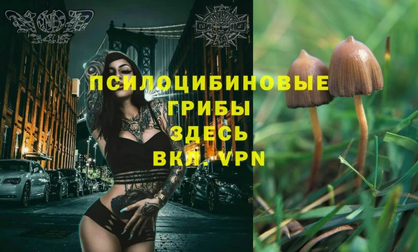 дурь Абдулино