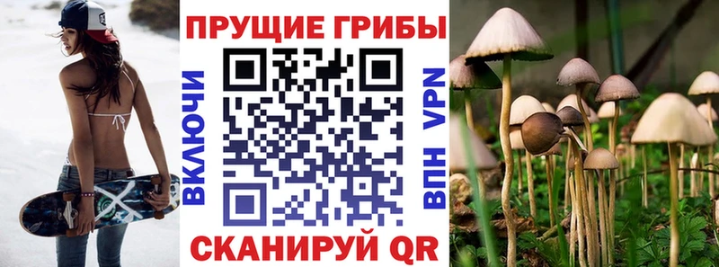 где купить наркотик  Гусиноозёрск  Галлюциногенные грибы мухоморы 